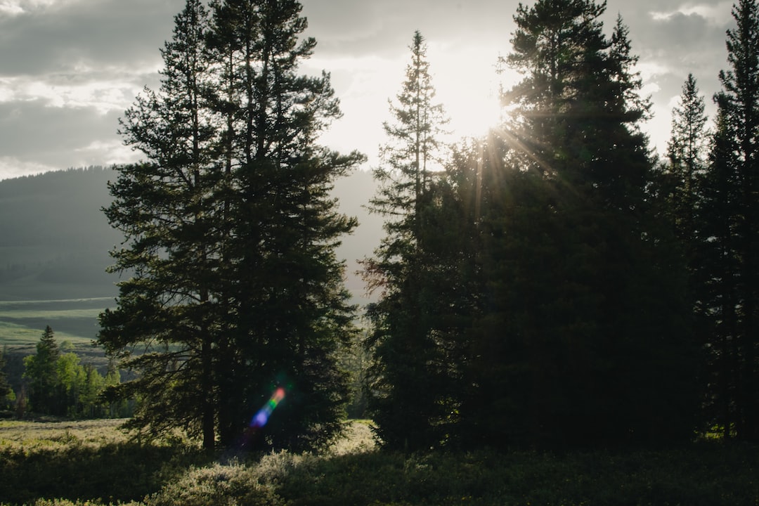 <a href="https://woodmoor.neighborhood.online/news">News & Announcements</a> 20379f0d-474a-41d8-b2c2-1475f3afdfe5.jpg